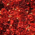 Rote Rosen